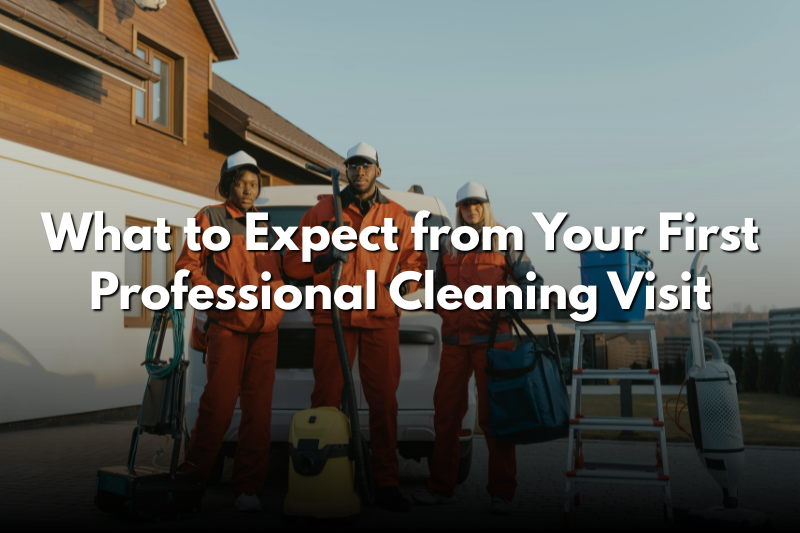 What to Expect from Your First Professional Cleaning Visit
